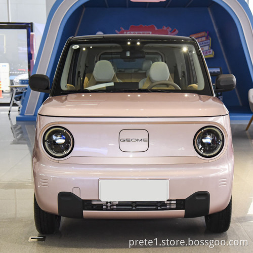 Cute Shape Fridge Geely Used Small Electric 2023evevev Panda Mini 2023 Ev electric car